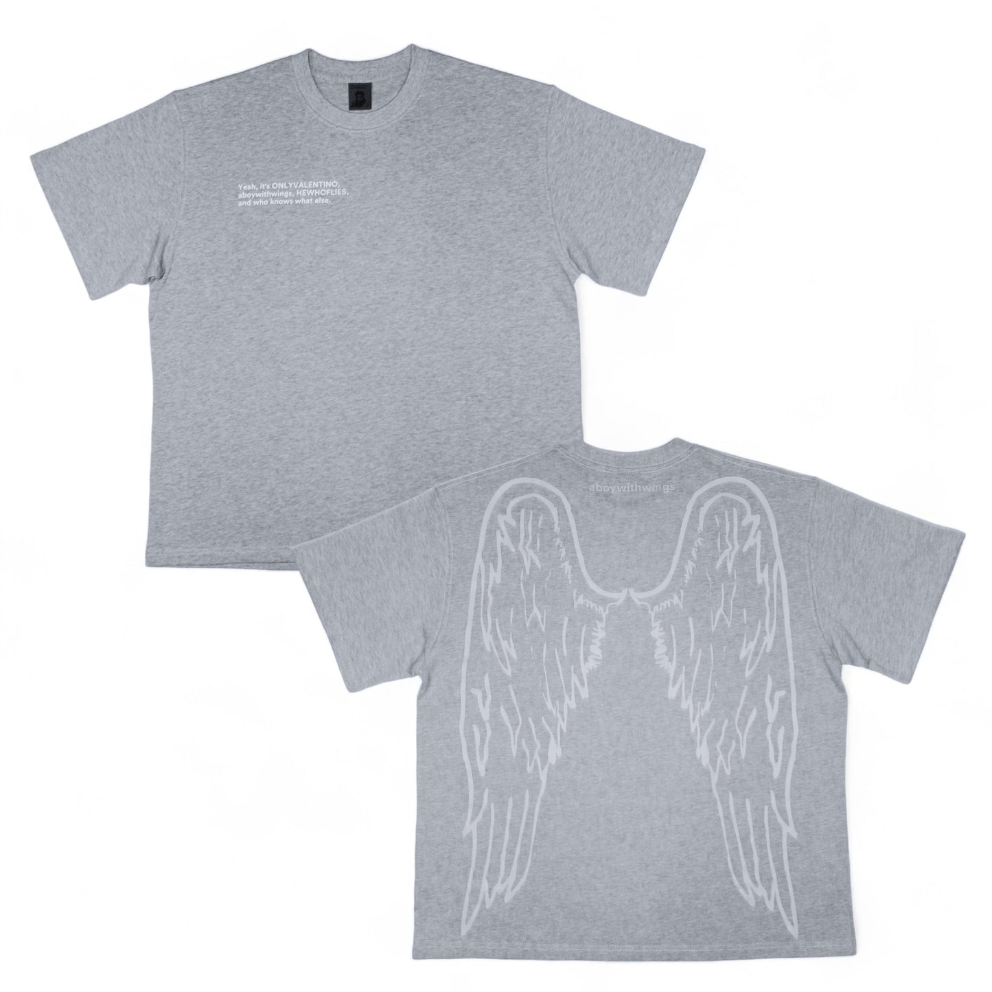 Grey Ghost Wings T-Shirt
